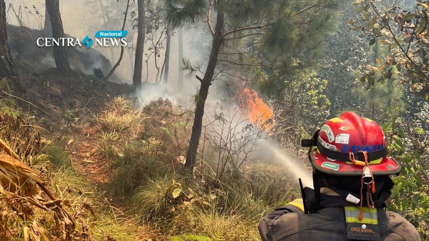 Conred Informa De 9 Incendios Forestales Activos En El País