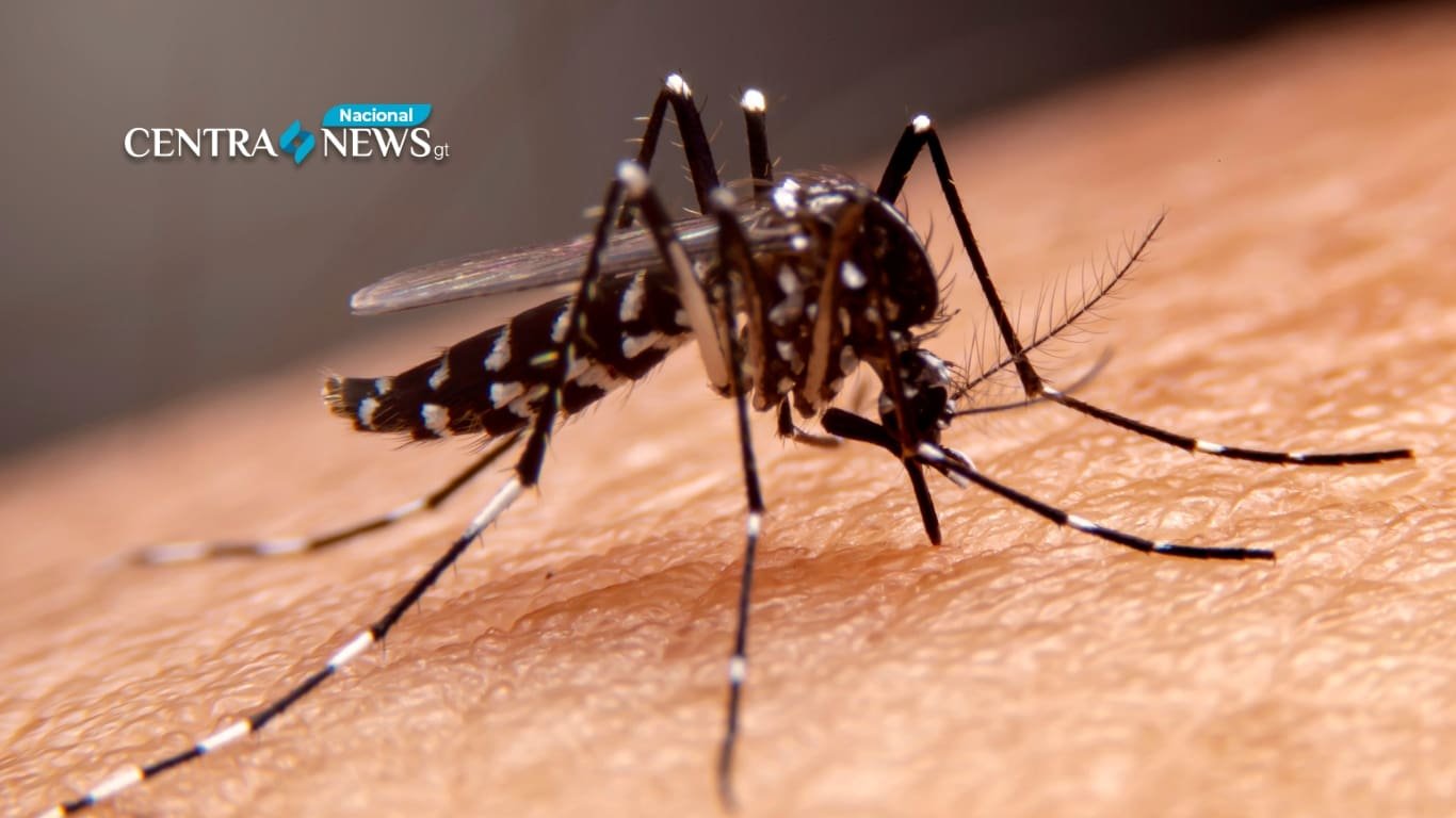 Alerta roja en Antigua Guatemala por aumento de casos de dengue