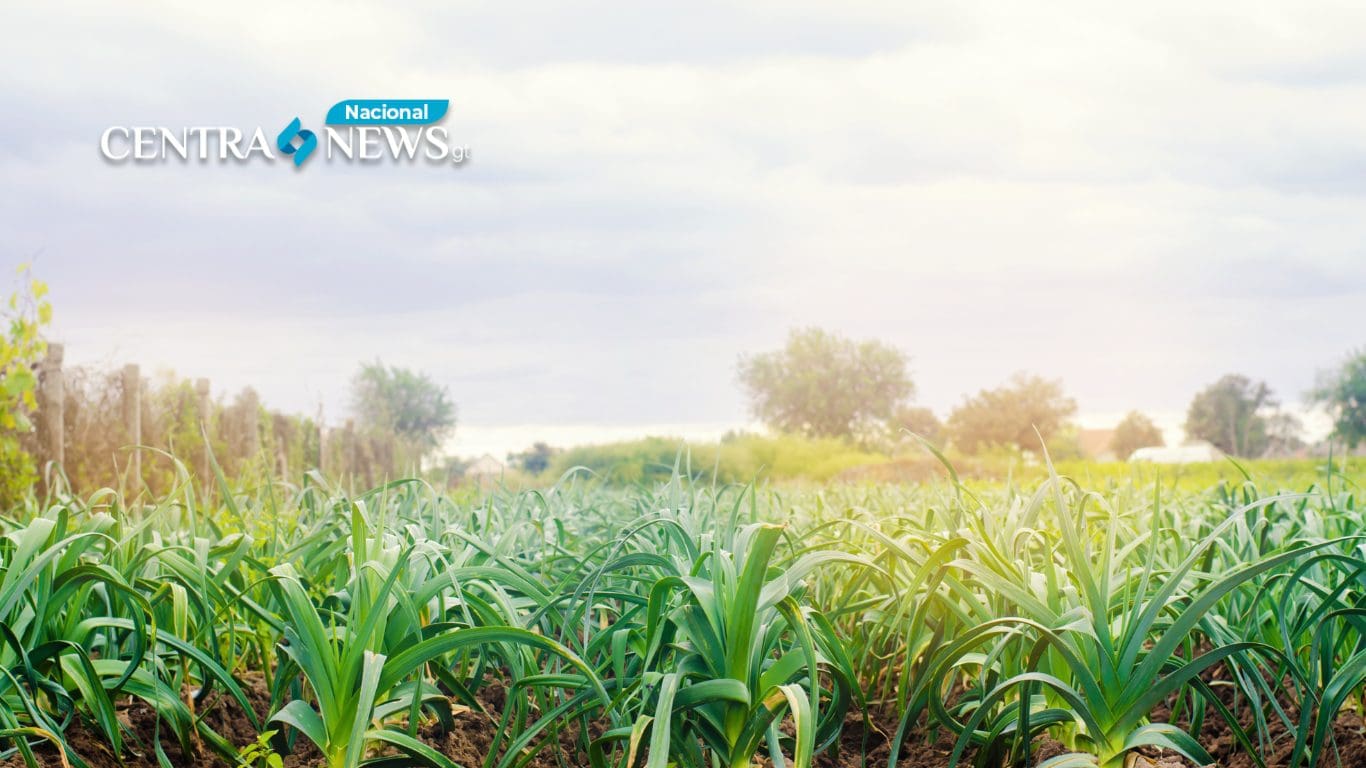 Apoyo agrícola fortalecido frente a cambio climático