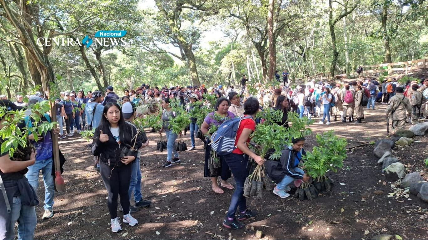 Fomentan una gran jornada de reforestación en Sacatepéquez