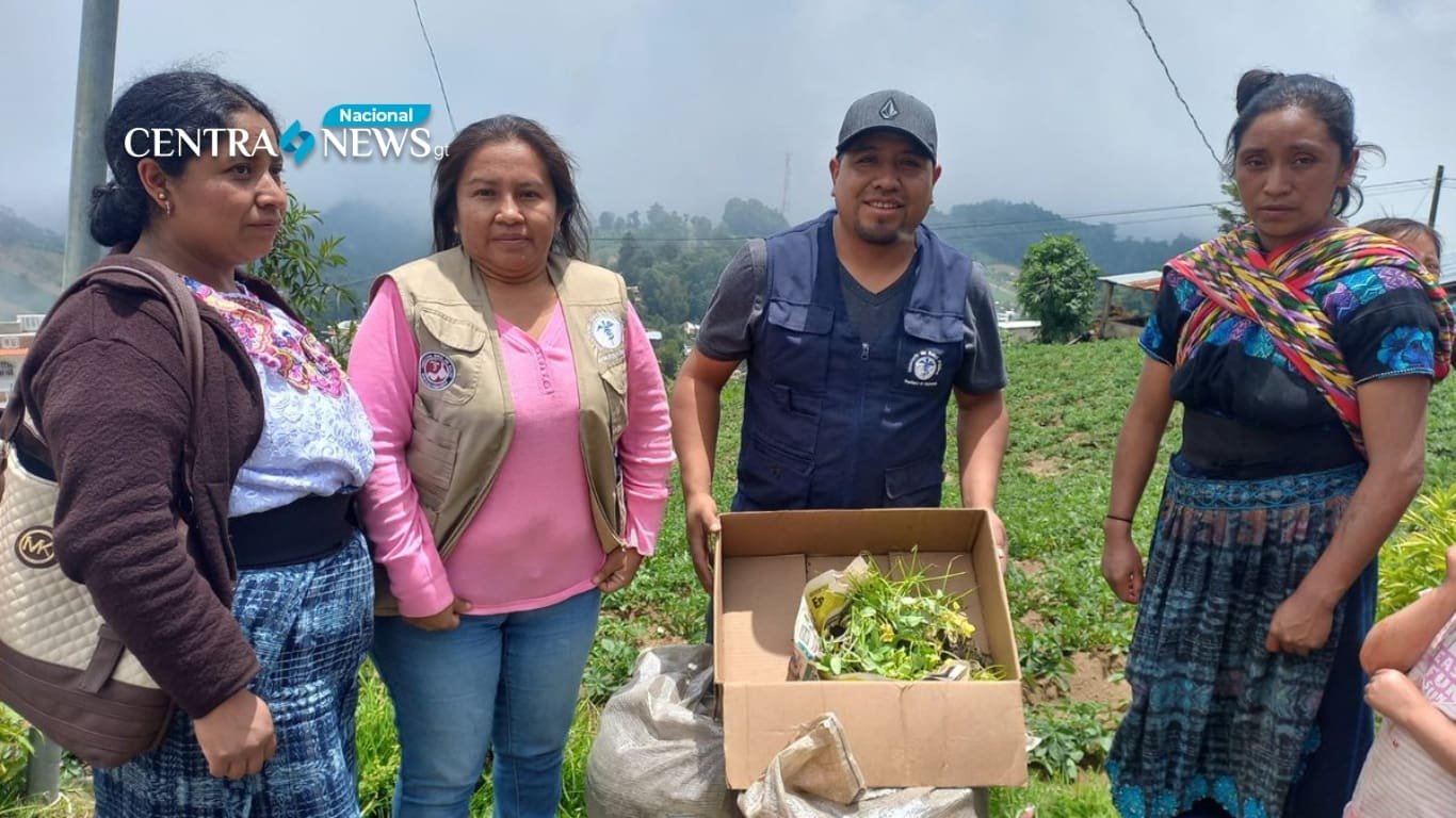 Fomentando huertos familiares en Quetzaltenango Un impulso Hacia la sostenibilidad alimentaria