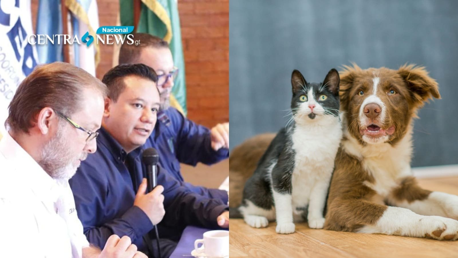 Huehuetenango implementa esfuerzos para prevenir la propagación de la rabia en perros y gatos