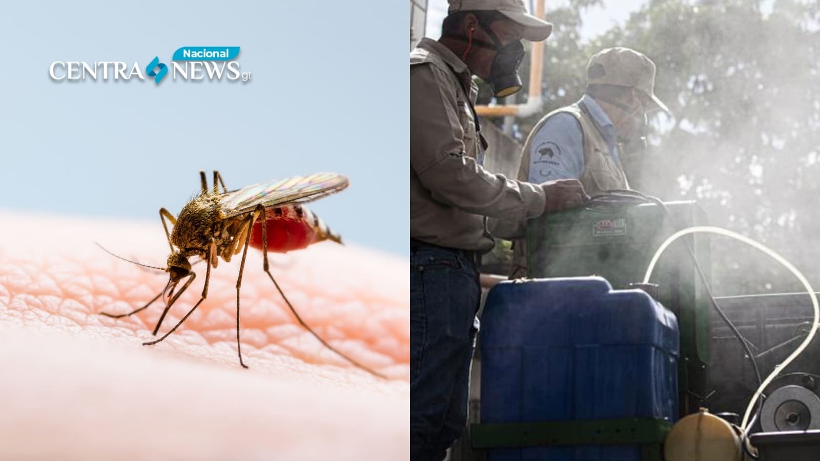 MSPAS exhorta a los residentes de Zacapa a tomar medidas preventivas contra el dengue