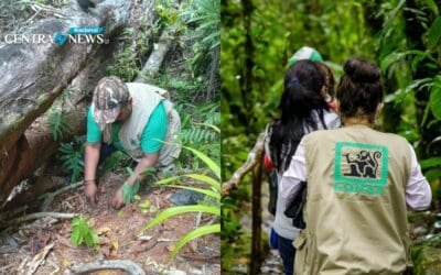 Conap alza su voz contra amenazas a los guardarrecursos