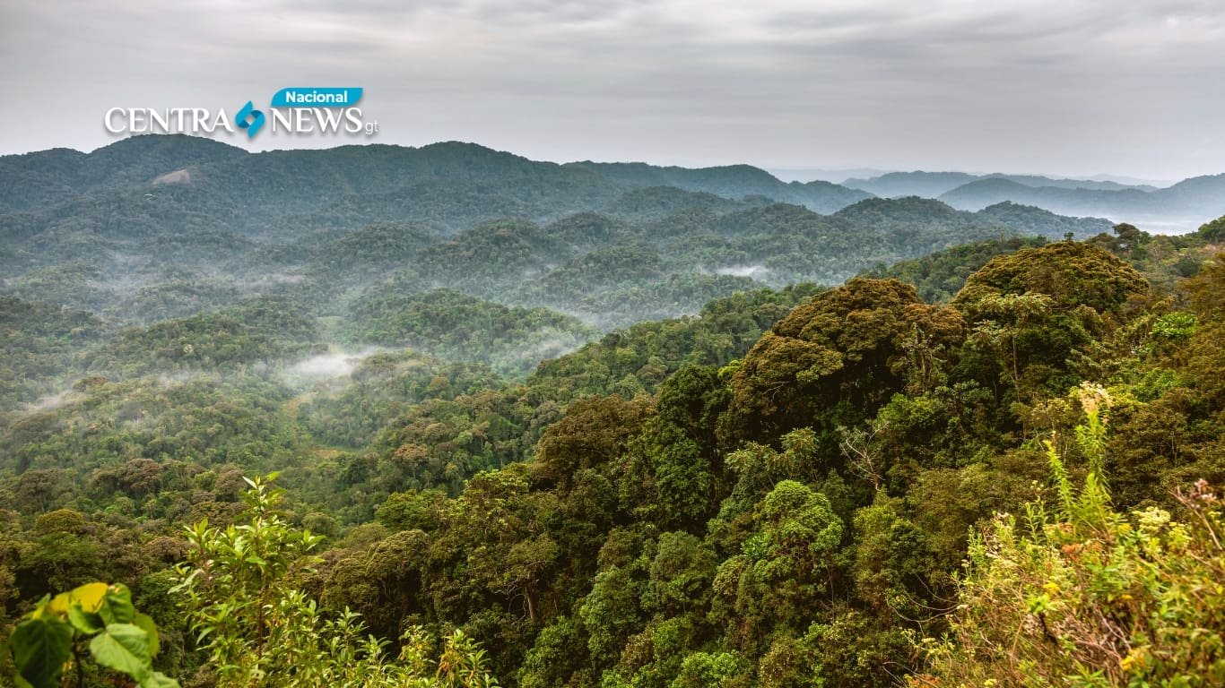 Conap resalta la vital conservación de humedales