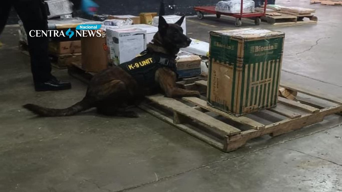 Desmantelan red narcotráfico y confiscan drogas por 10,125 quetzales