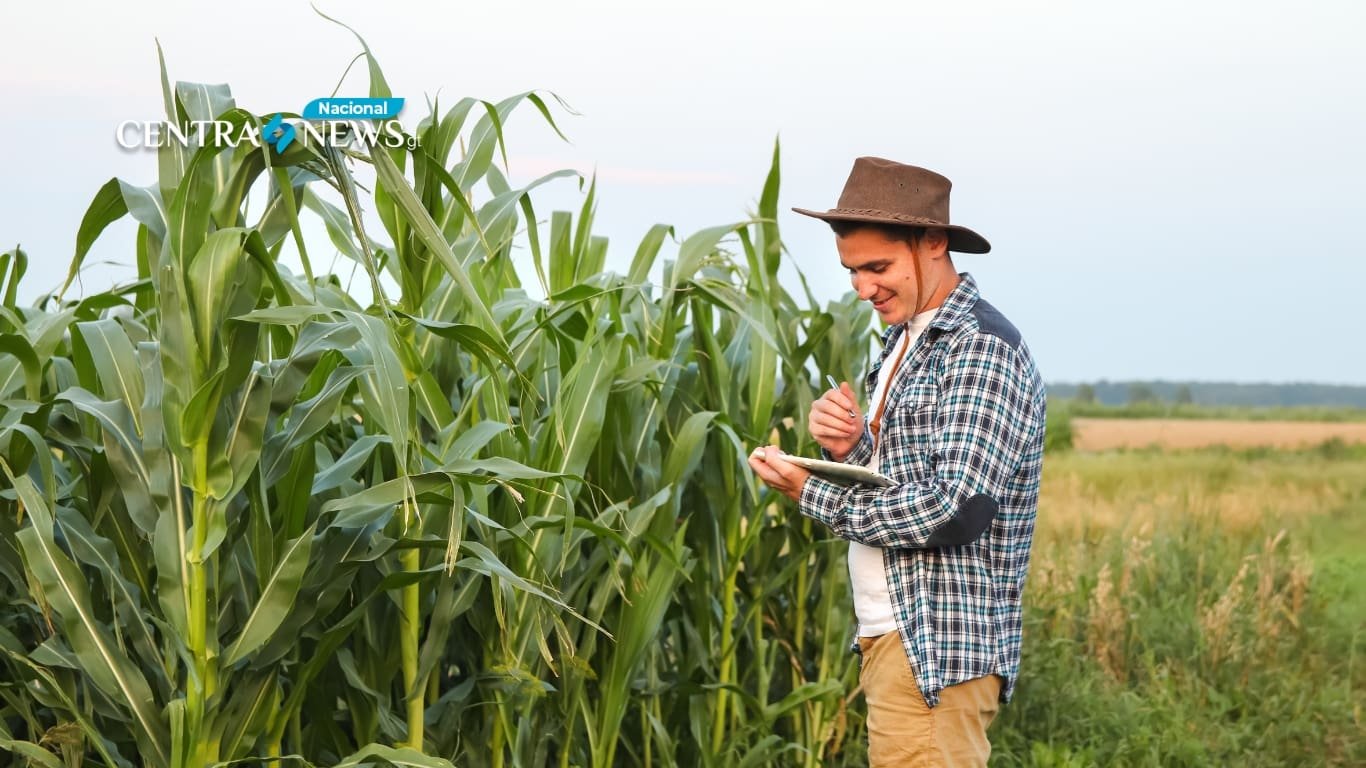 Emiten recomendaciones ante las bajas temperaturas para el sector de la agricultura y ganadería