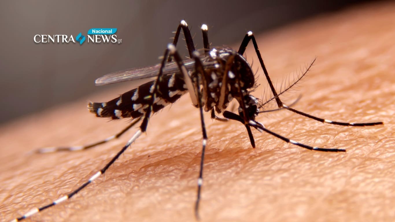 Guatemala registra más de 72,000 casos de dengue