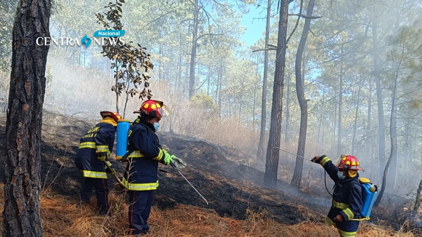 Controlan incendio forestal