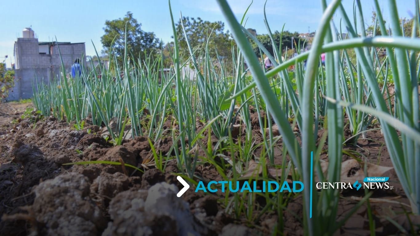 MAGA apoya a productores en Chiquimula