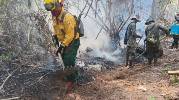 Aumentan a 131 los incendios activos en Guatemala La mayoría en Petén
