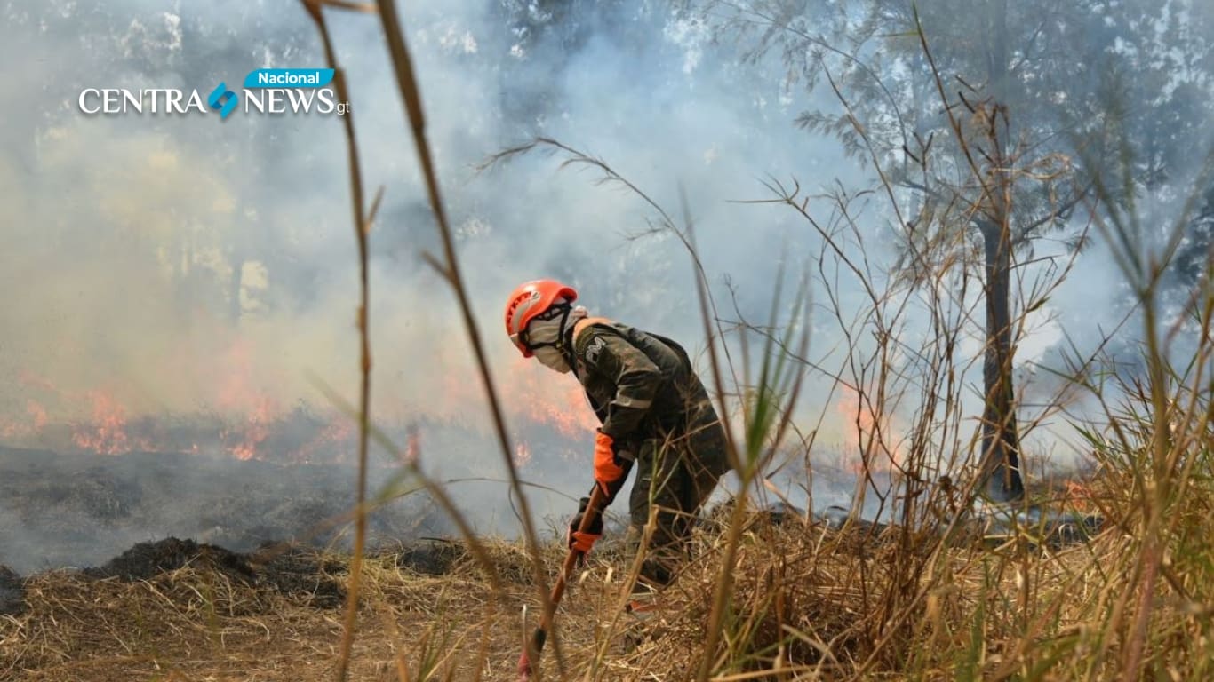 Se realizó el primer ejercicio nacional de supresión de incendios forestales