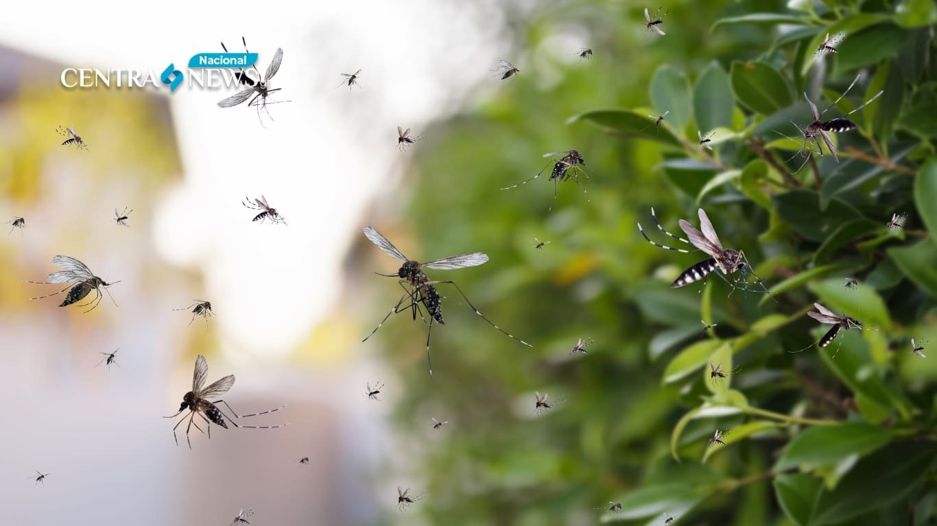 Se registraron 19 casos de dengue en Guatemala