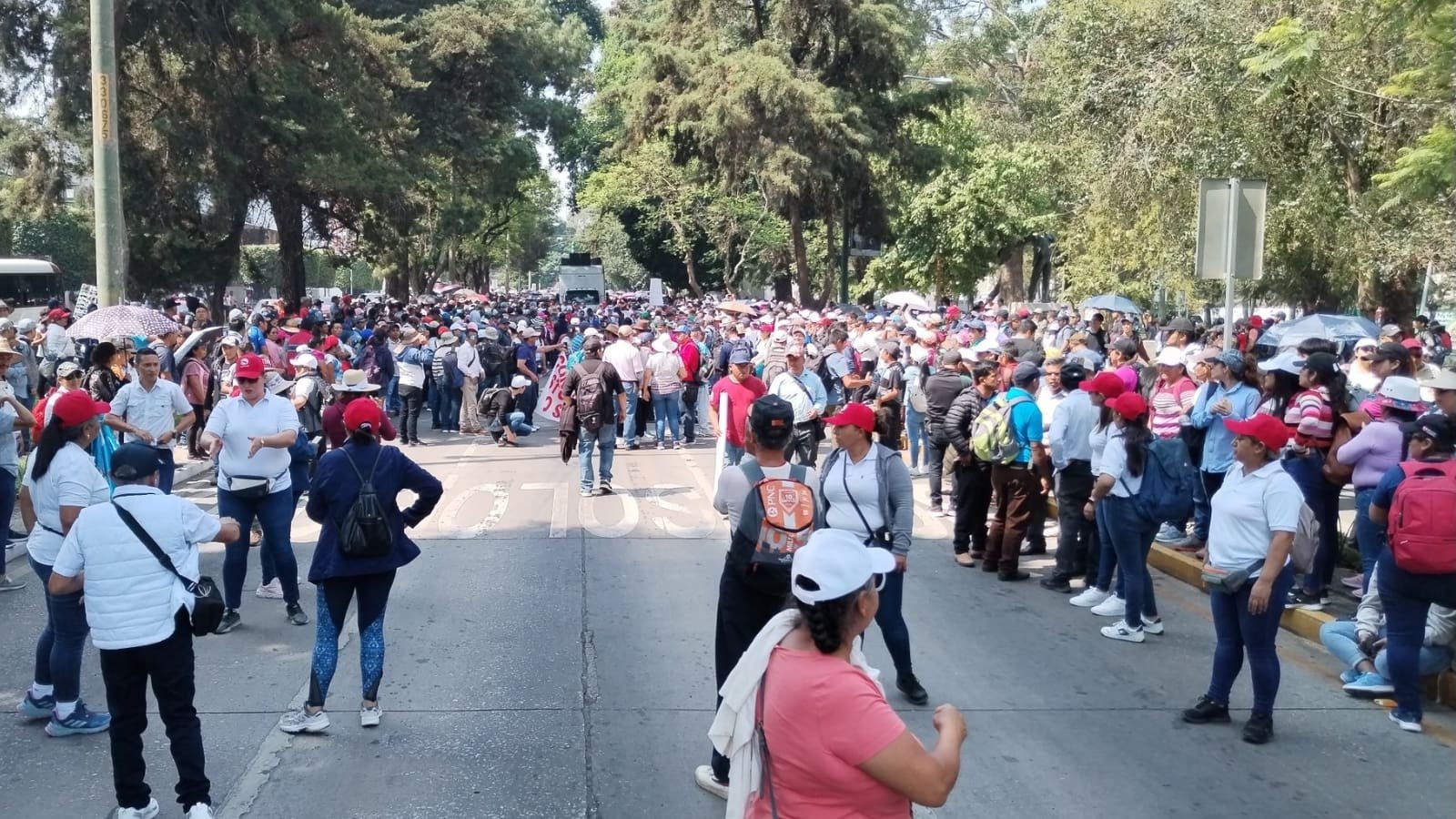 Acción Ciudadana pide acuerdo ministerial para confidencialidad en pacto colectivo con magisterio