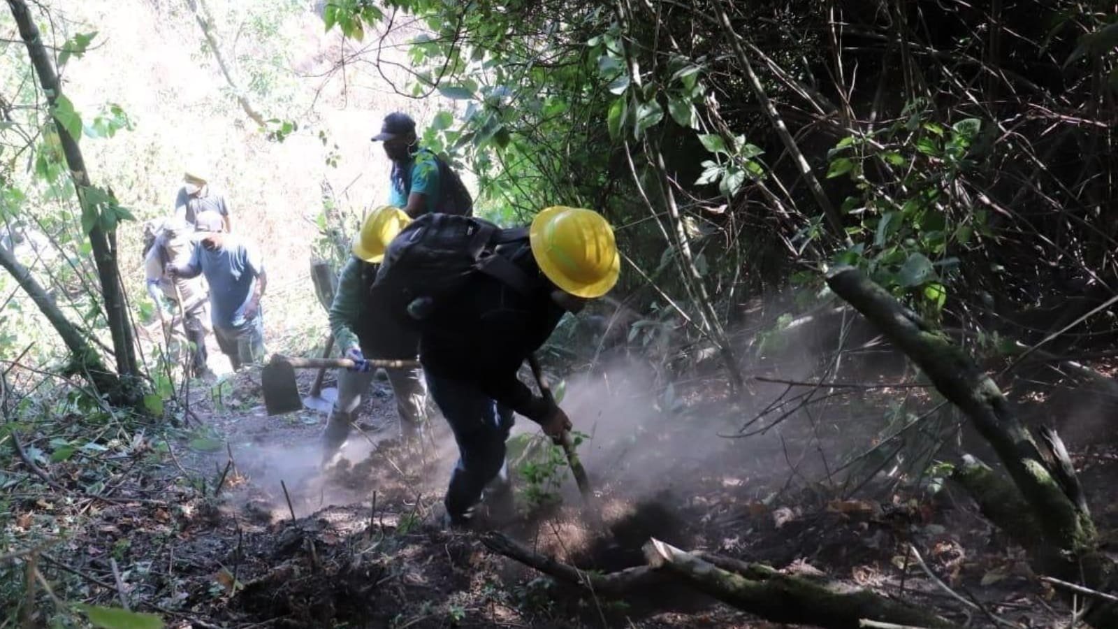 Condiciones climáticas mantendrán riesgo de incendios forestales, advierten Insivumeh y Conred