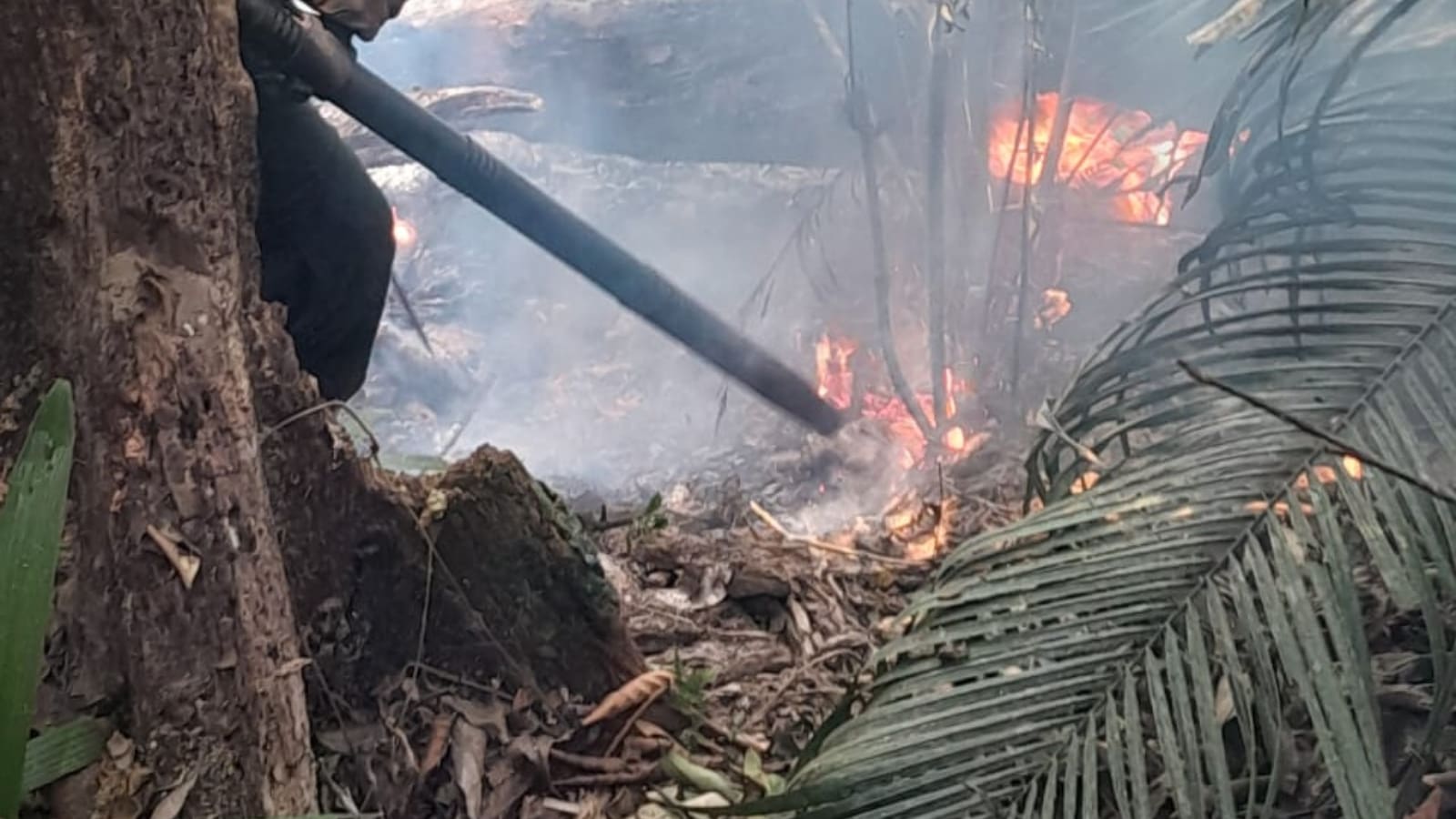 Conred reporta 76 incendios forestales en Guatemala