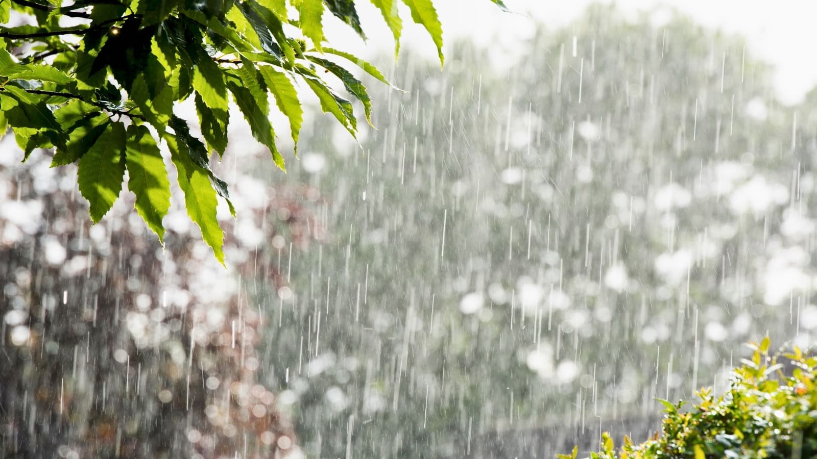 Onda tropical llegará a Guatemala y amenaza con lluvias intensas