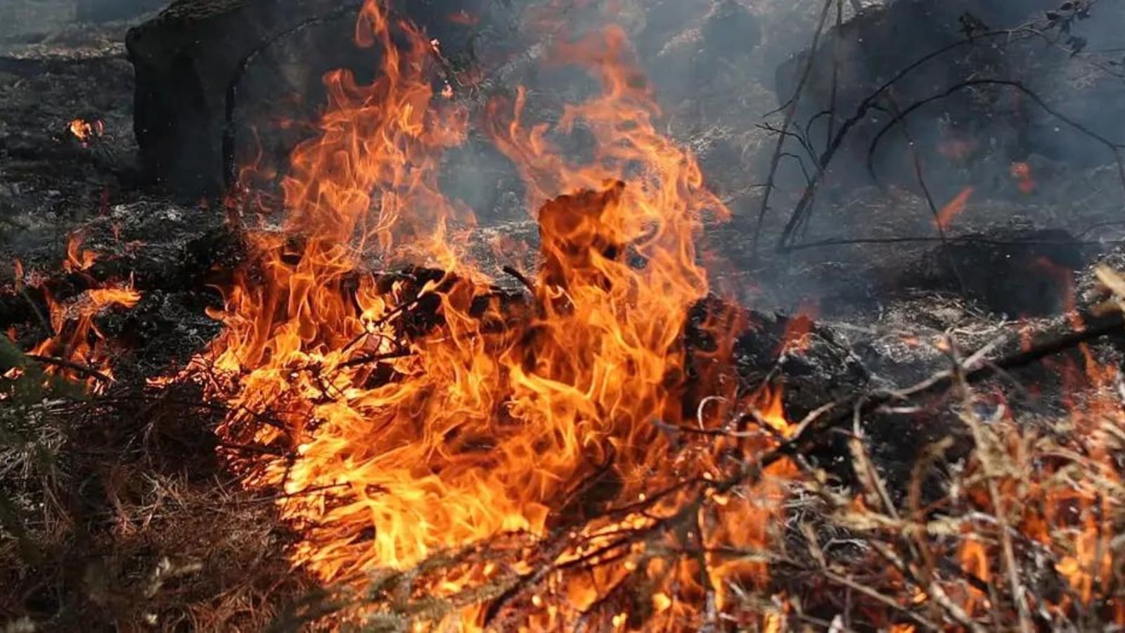 Se reportan 75 Incendios activos en Guatemala