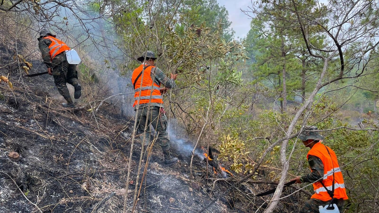 Ejército intensifica combate contra incendios en Petén