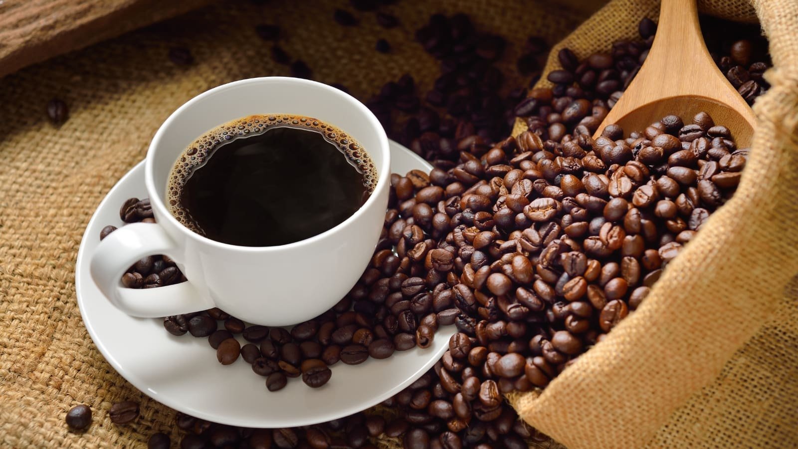 Países del SICA presentan café de alta calidad en Catar