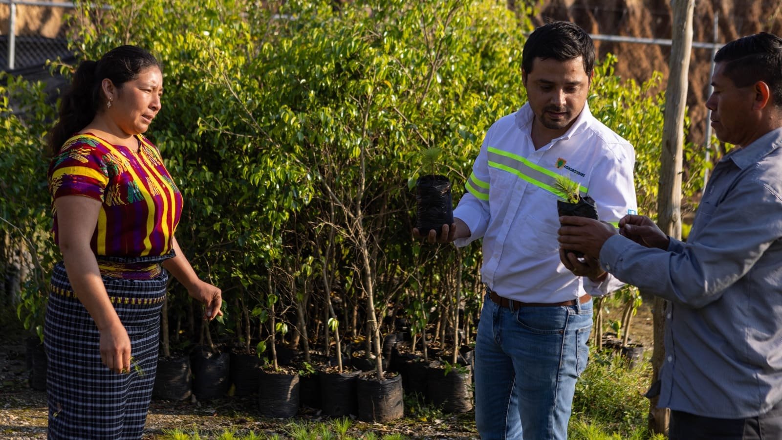 Progreso Liderazgo en reforestación y conservación ambiental en Guatemala