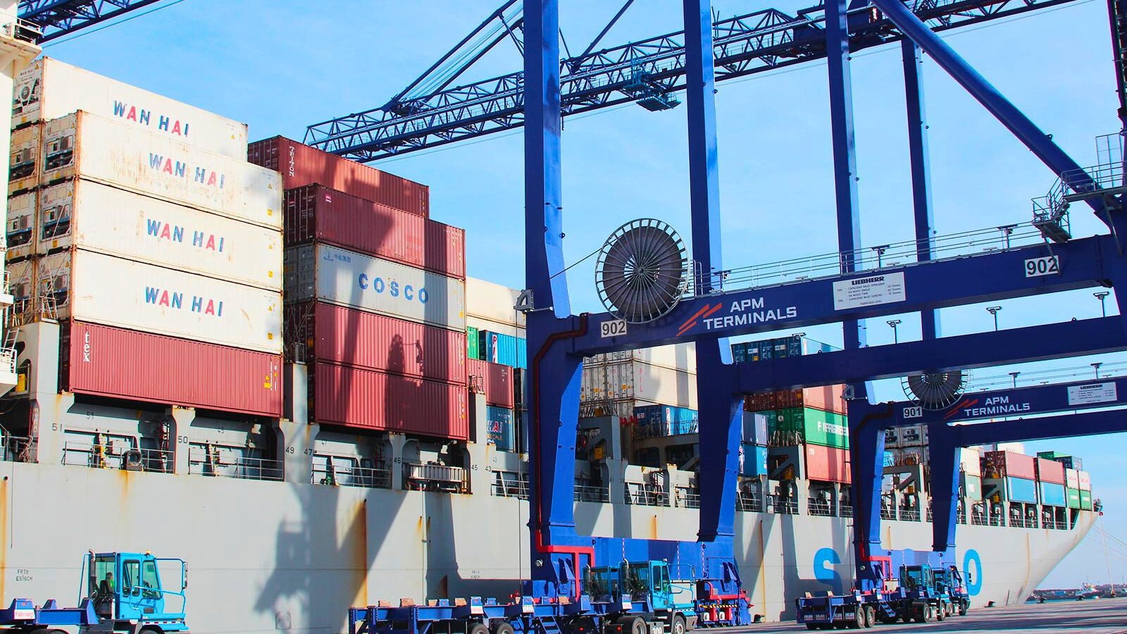 Sala de Apelaciones otorga amparo provisional en caso EPQ-APM Terminals