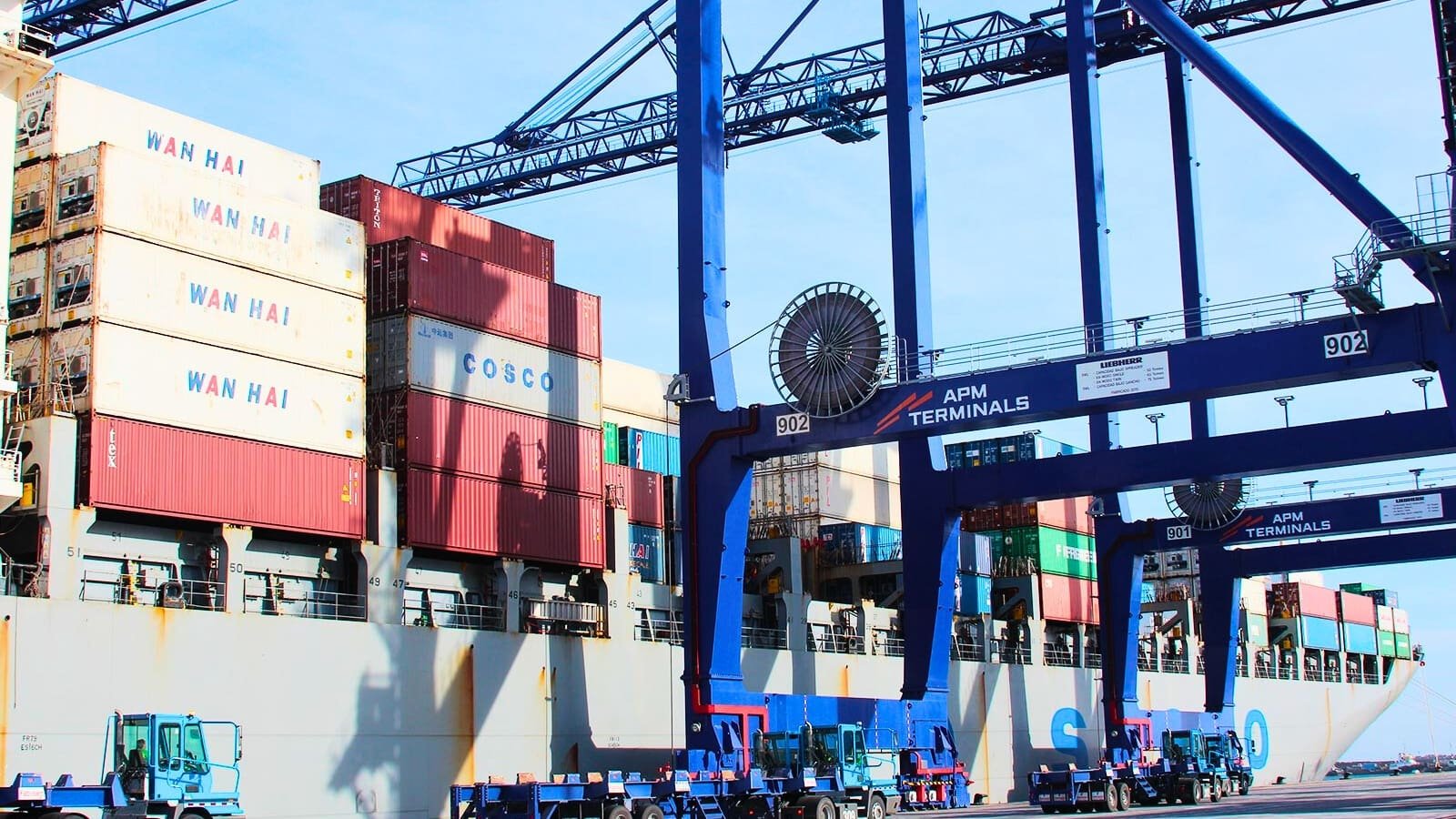 Tribunal anula contratos de Empresa Portuaria Quetzal con APM Terminals