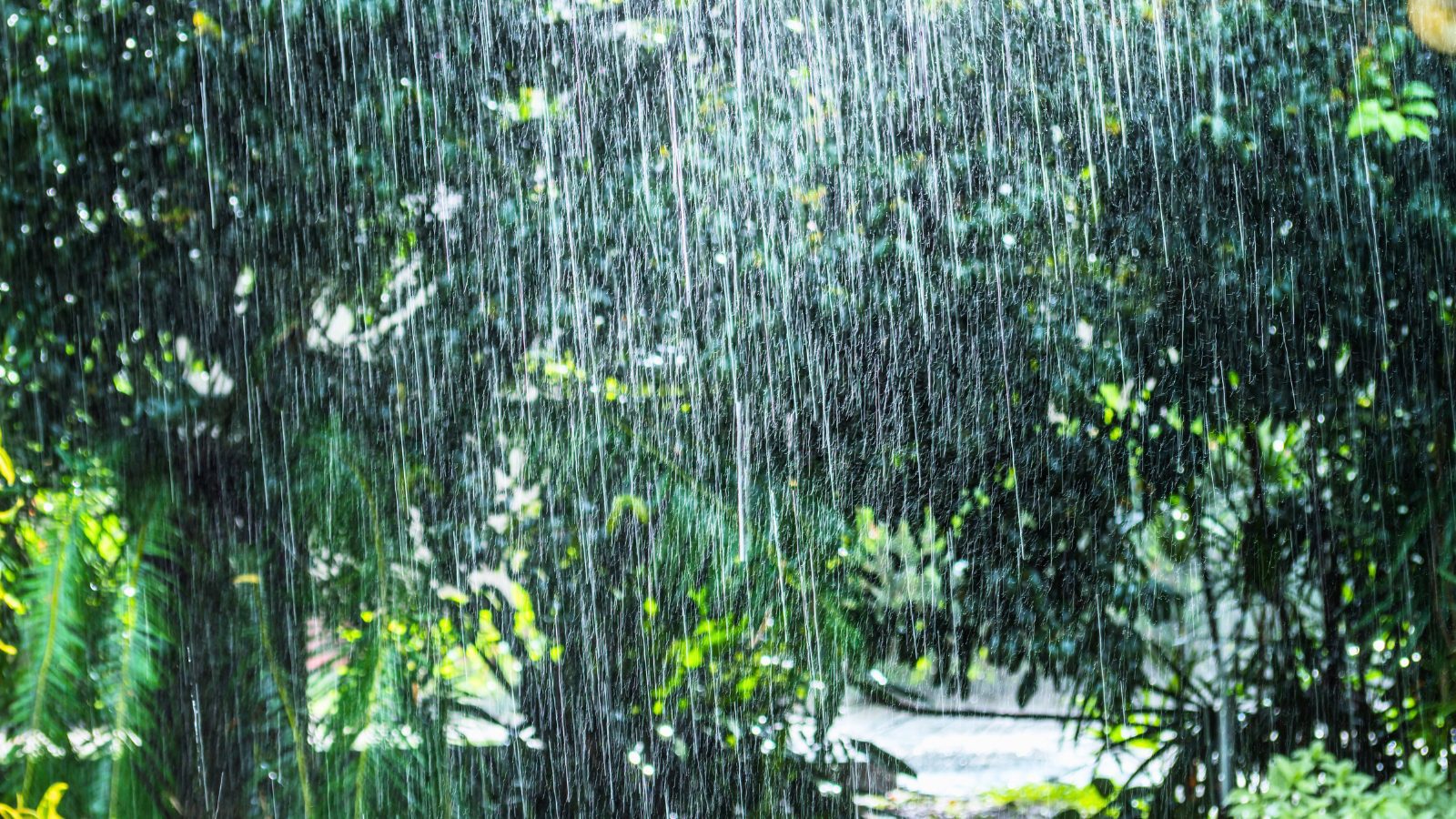 Aumento de lluvias en Guatemala por huracán Beryl