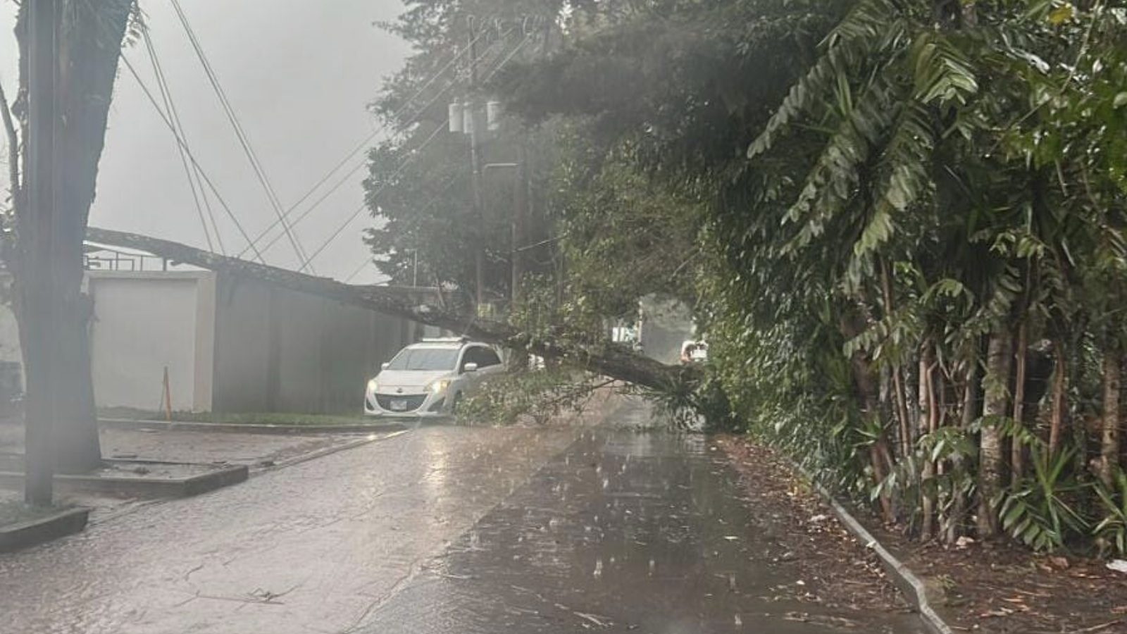 Conred emite recomendaciones ante intensas lluvias del fin de semana