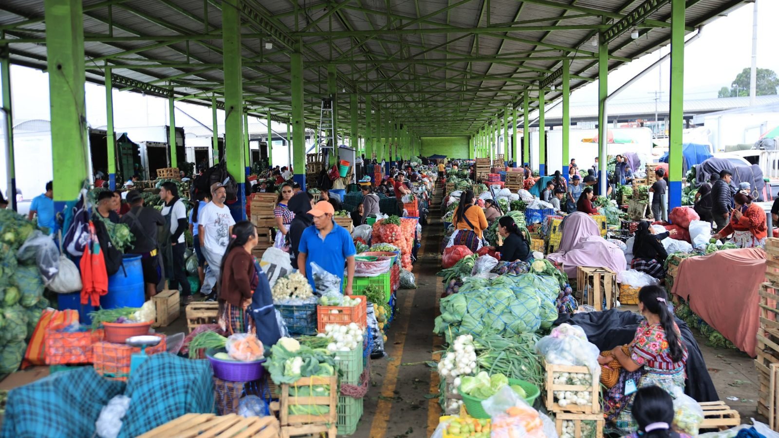 Diaco y Mineco monitorean precios de la canasta básica en mercados y supermercados