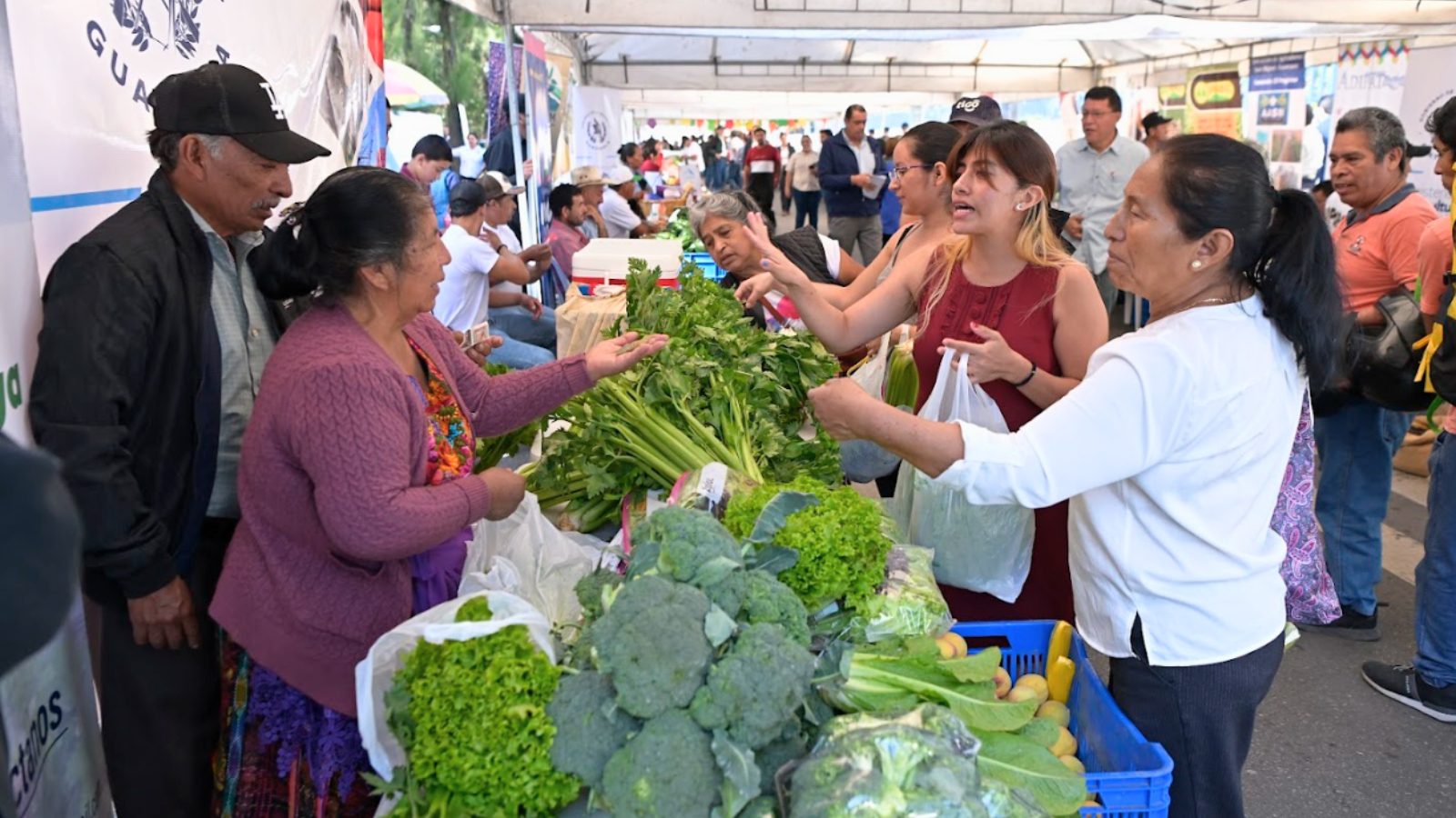 Feria del Agricultor llega a Alta Verapaz, Suchitepéquez e Izabal