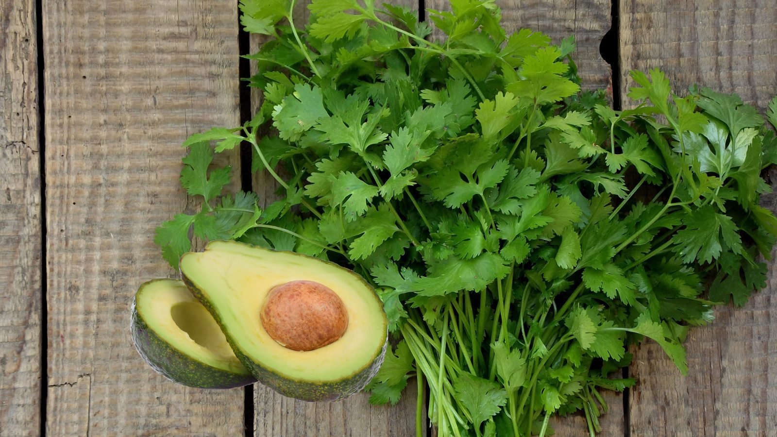 Precios del cilantro y aguacate en Guatemala se duplican Diaco mantiene monitoreo