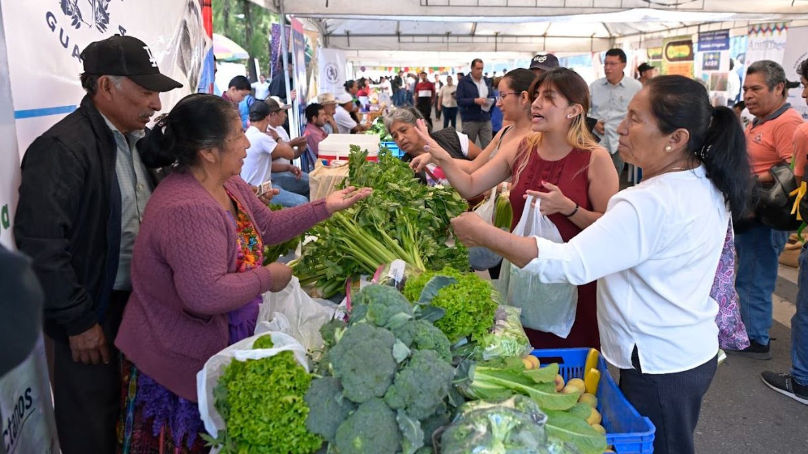 Se realizará la segunda Feria del Agricultor 2024