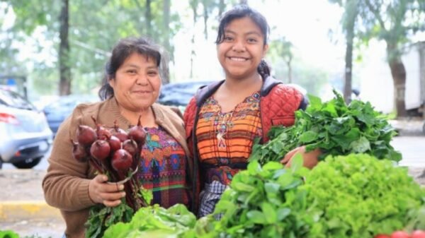 ¿Cuánto ha aumento en el costo de la canasta básica en 2024 en Guatemala