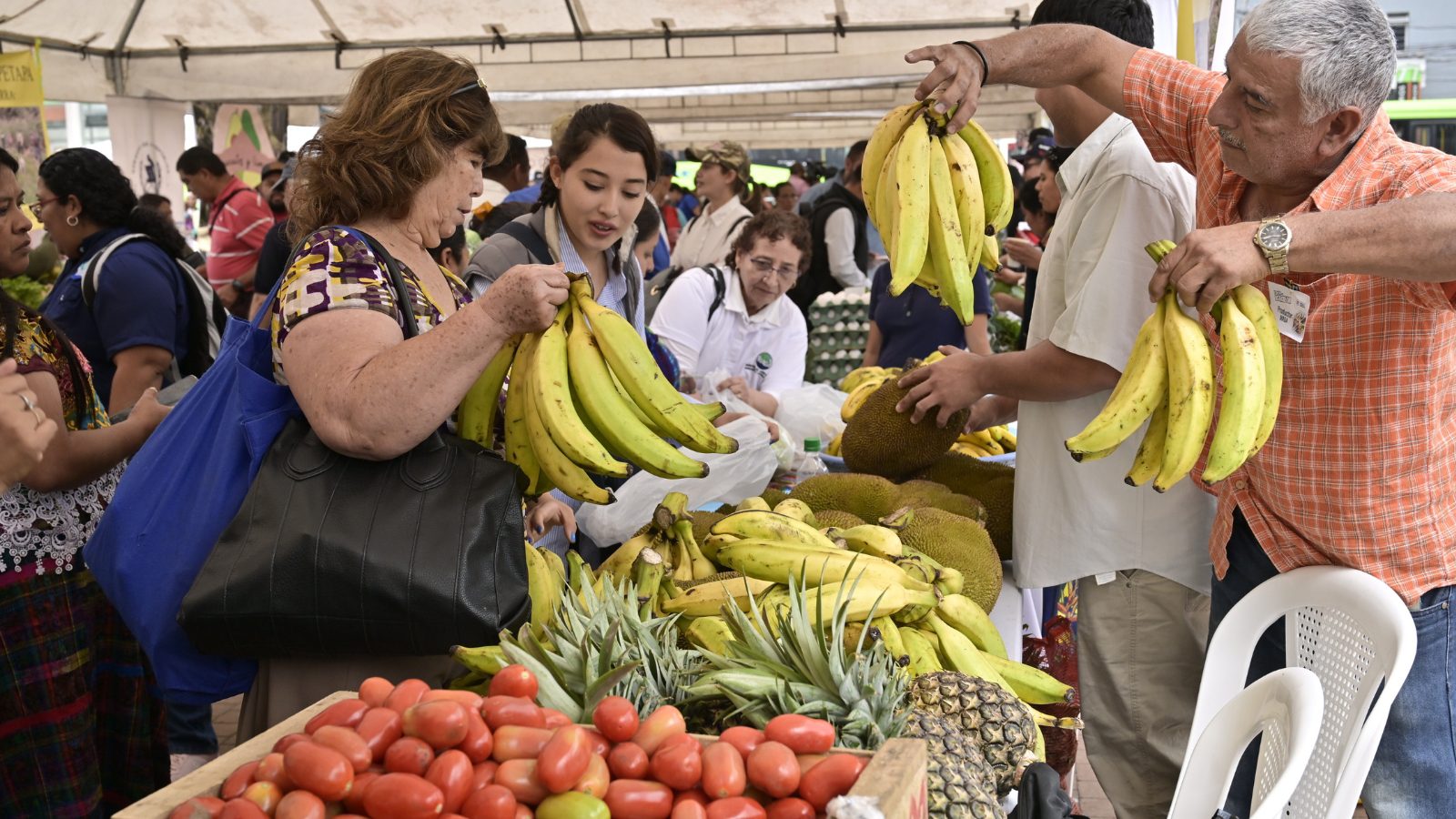 Feria del Agricultor beneficia a seis departamentos con productos frescos