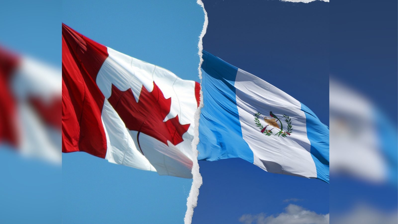 AGEXPORT “Guatemala a las puertas de perder el mercado canadiense”