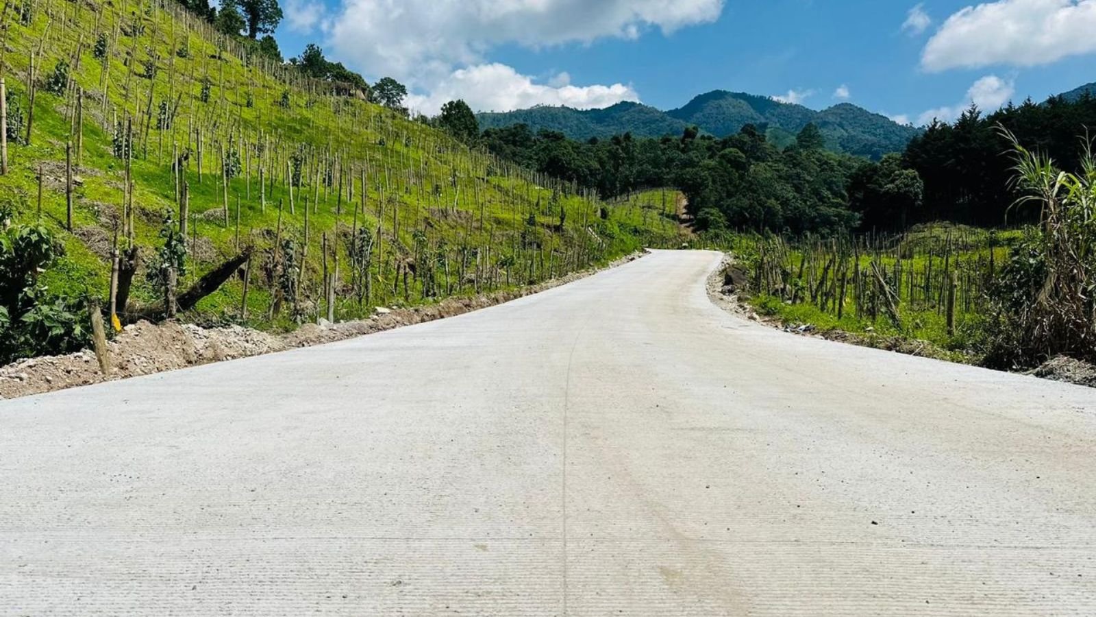 carretera pavimentada