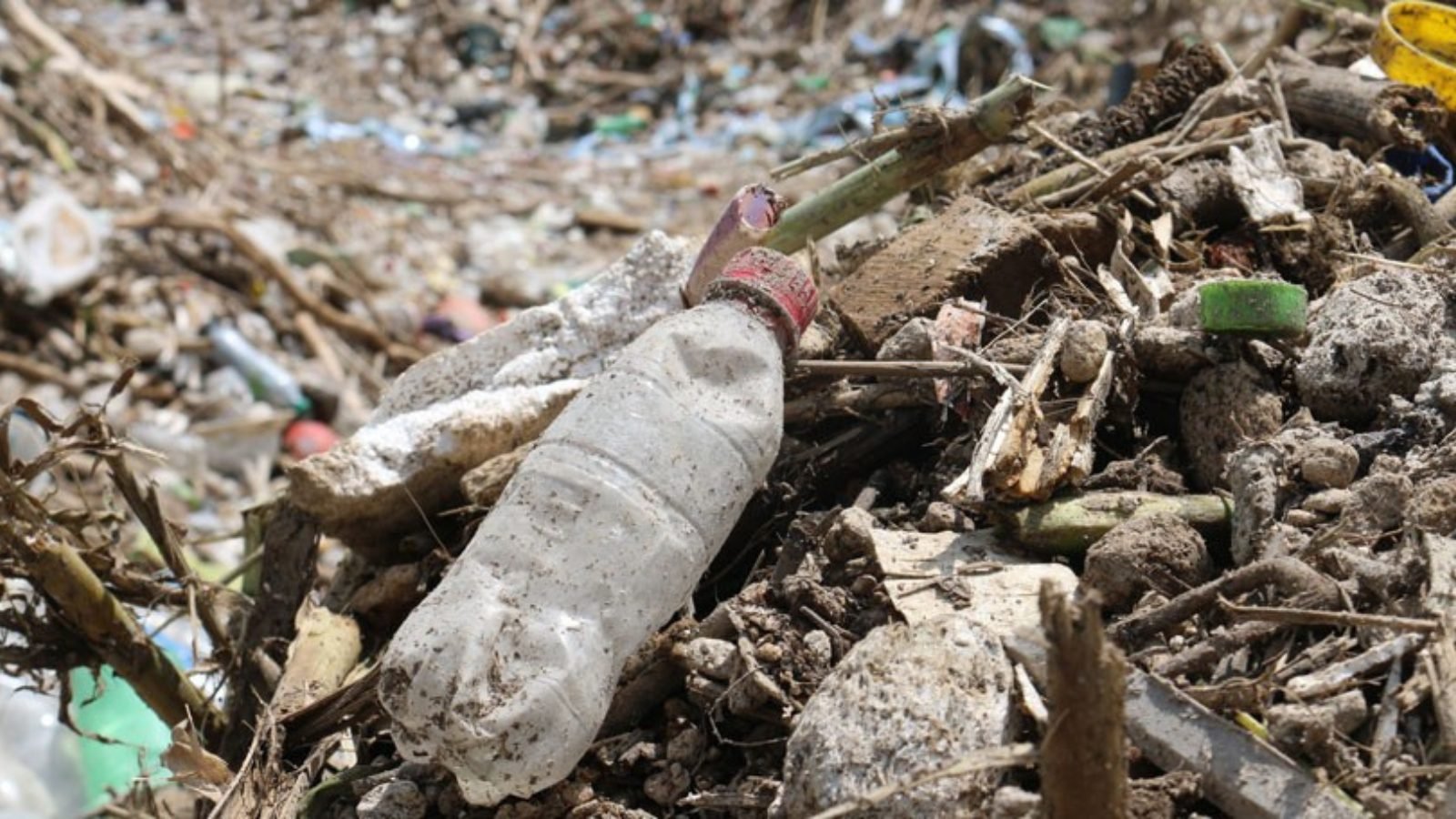 ¿Has notado qué la recolección de basura se ha visto afectada esta semana en la ciudad