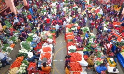 Estos son los precios de la canasta básica de noviembre 2024