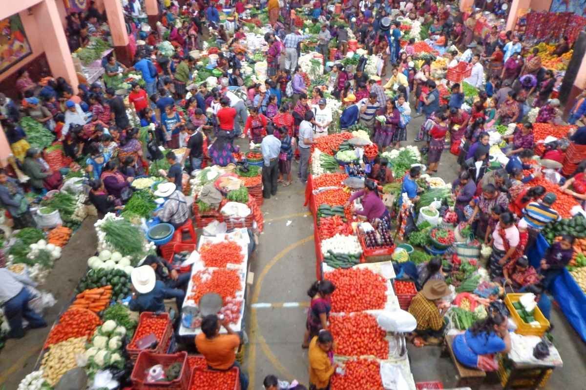 Estos son los precios de la canasta básica de noviembre 2024