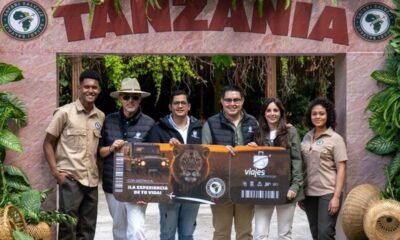 Vive una aventura única Safari Salvaje 2025