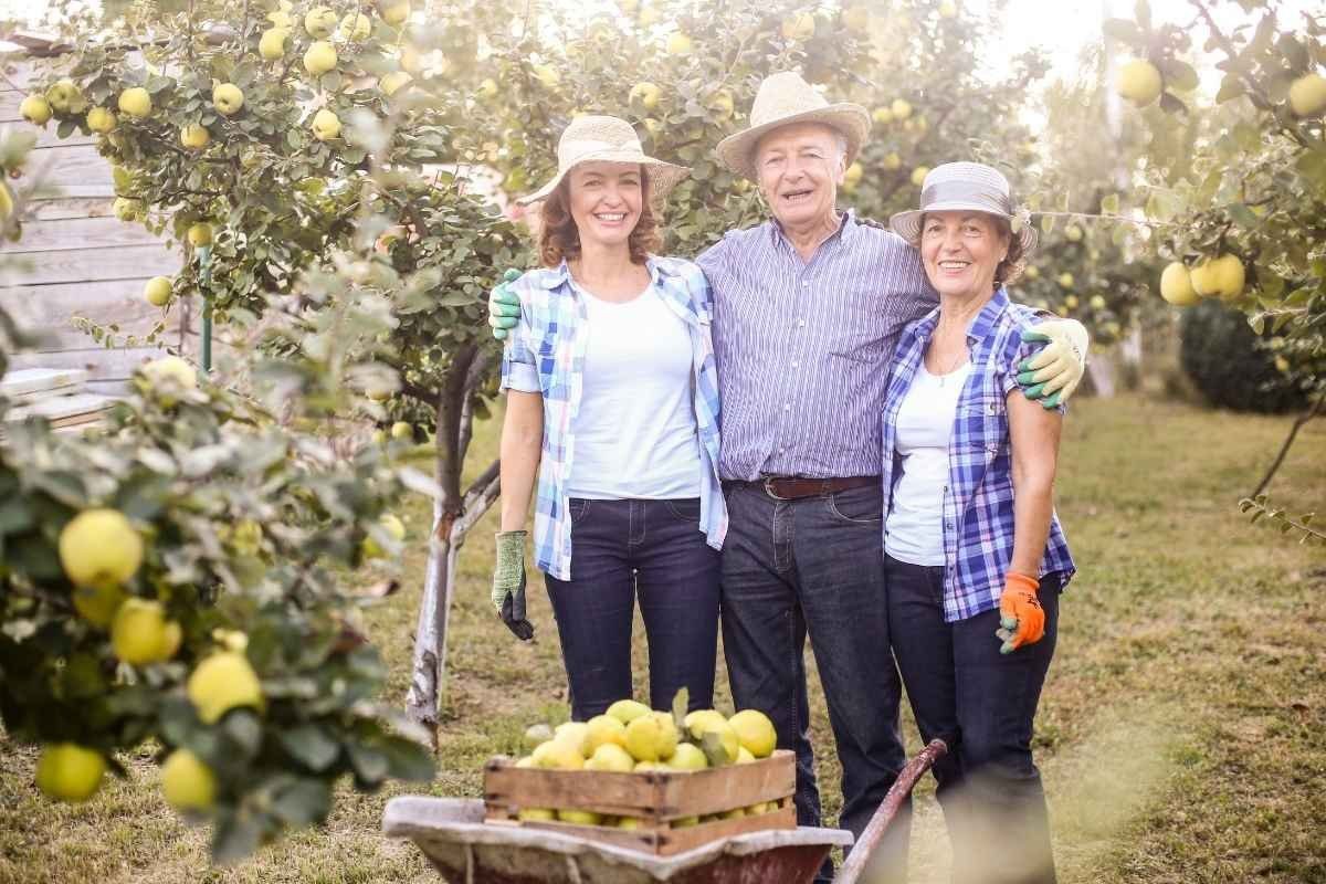 Estrategias de crecimiento sostenible para empresas familiares