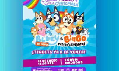 Blue y Bingo ¡Inicia el año escolar con magia y diversión en familia!