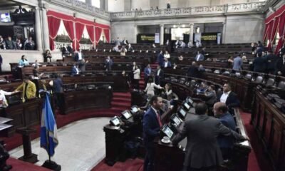 Diputados exigen cumplimiento de fallo sobre el Movimiento Semilla