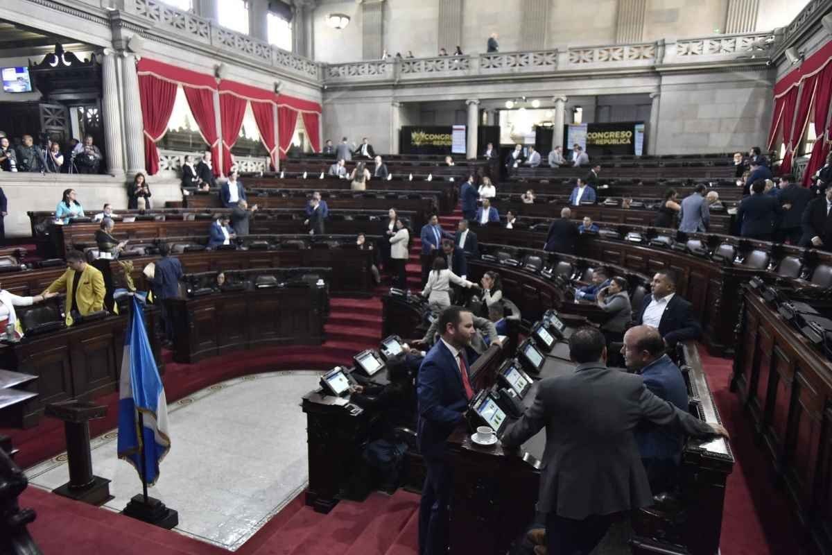 Diputados exigen cumplimiento de fallo sobre el Movimiento Semilla