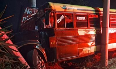 Árbol evita tragedia bus pierde el control en bajada de Villalobos