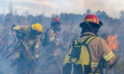 Incendios forestales en Guatemala la educación y prevención son la clave