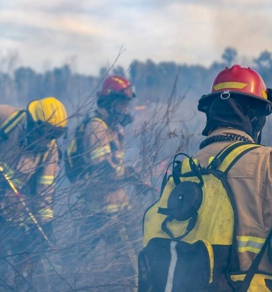 Incendios forestales en Guatemala la educación y prevención son la clave