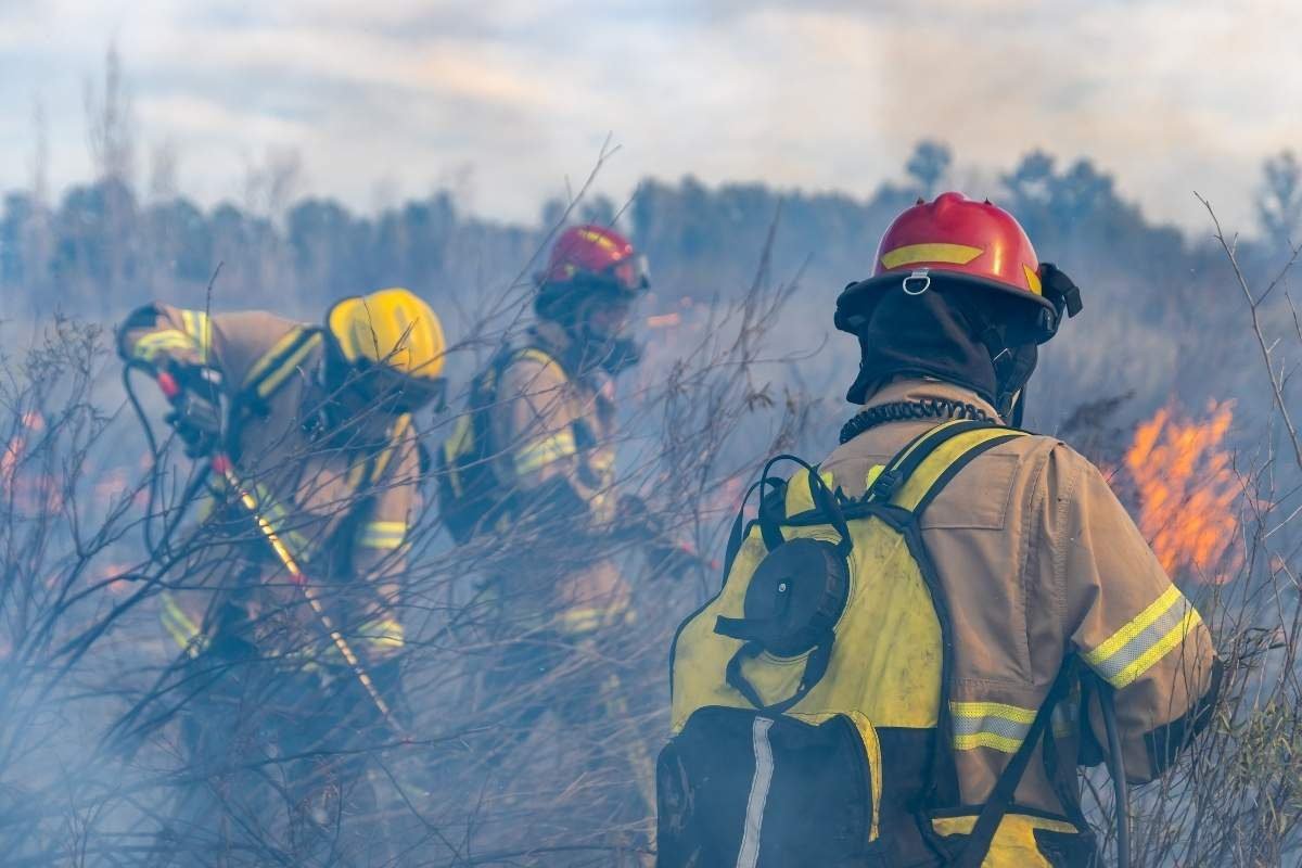 Incendios forestales en Guatemala la educación y prevención son la clave