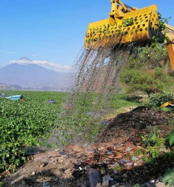 Lago de Amatitlán Más de 7,400 m³ de desechos removidos en enero de 2025